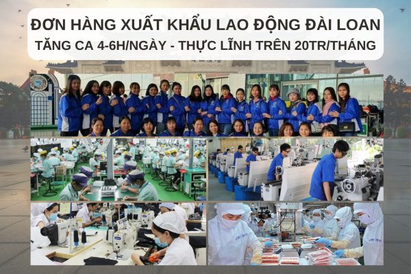 Nhiều đơn hàng để bạn lựa chọn